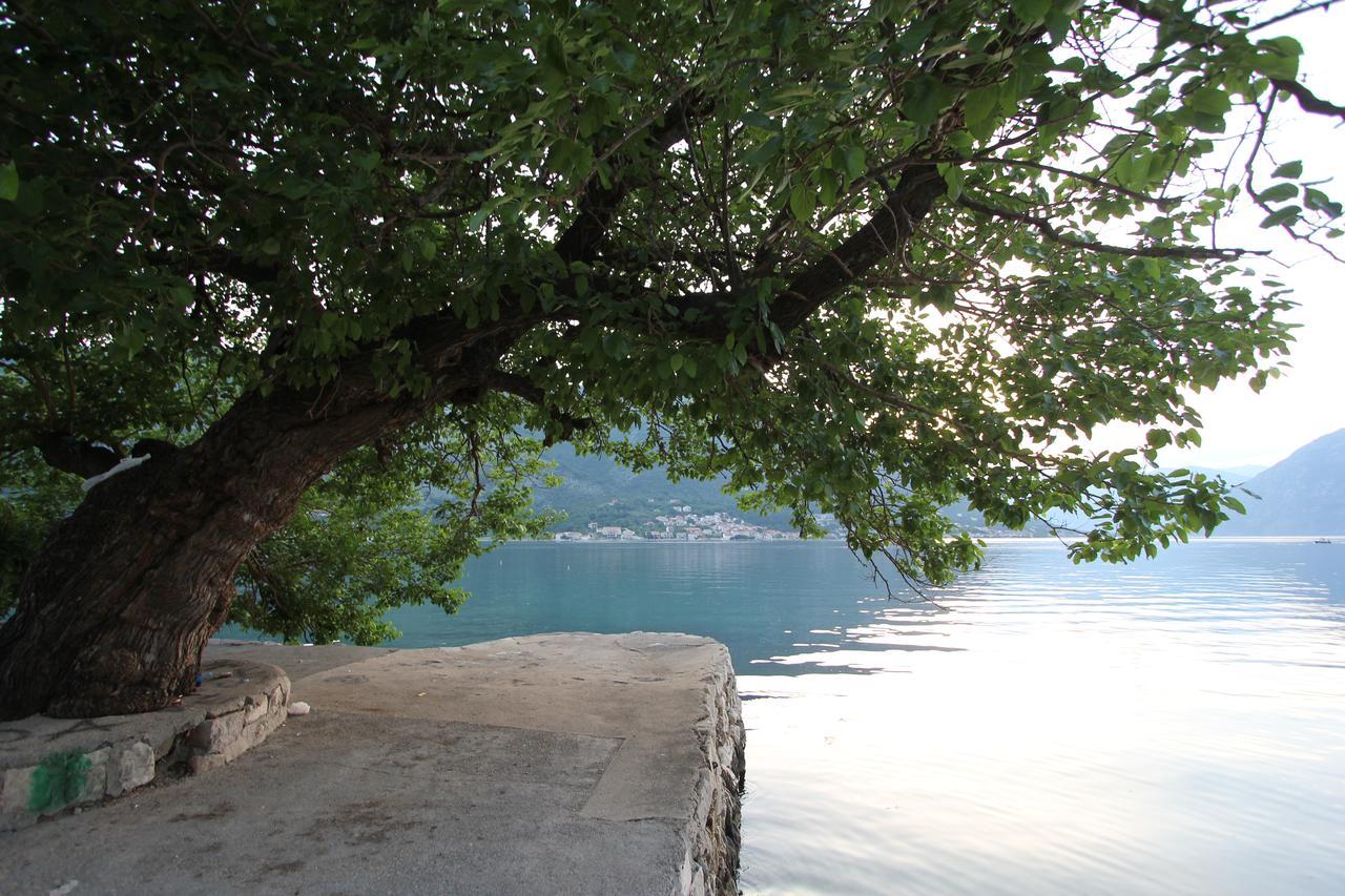 Adriatic Pearl Apartments Kotor Exterior photo